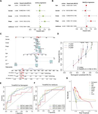 Characteristics of Adenosine-to-Inosine RNA editing-based subtypes and novel risk score for the prognosis and drug sensitivity in stomach adenocarcinoma